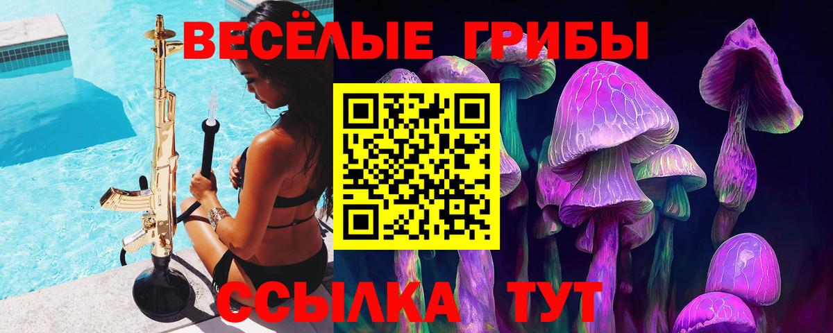 Псилоцибиновые грибы мицелий  Псилоцибиновые грибы MAGIC MUSHROOMS  Георгиевск  Вход с VPN 